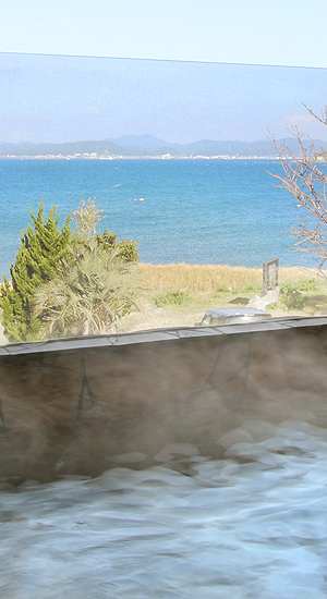 HOT SPRING BATHS｜indoor, open air ‘rotenburo’ and private/chartered open air.